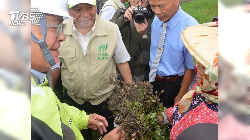 豪雨農損統計　落花生農損下修