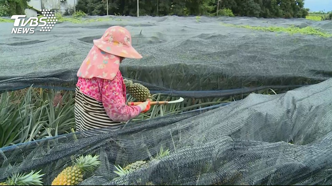 農地合法設置初級加工場 500農民可申請場證
