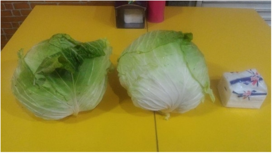颱風還沒來菜價先漲! 「2顆高麗菜500」他嚇到哭