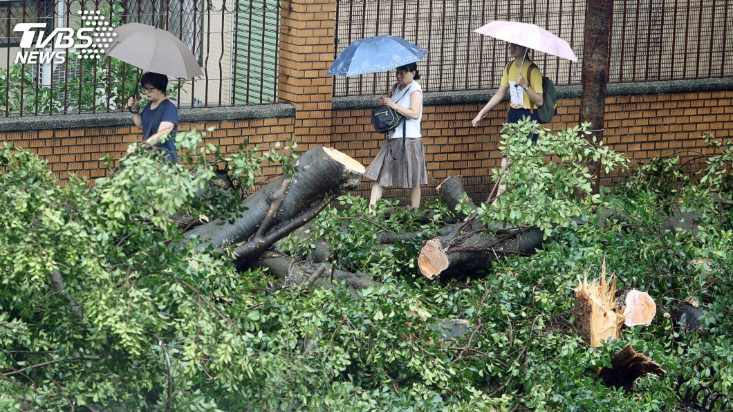 瑪莉亞颱風擦邊過台灣 校園災損初估達109萬元