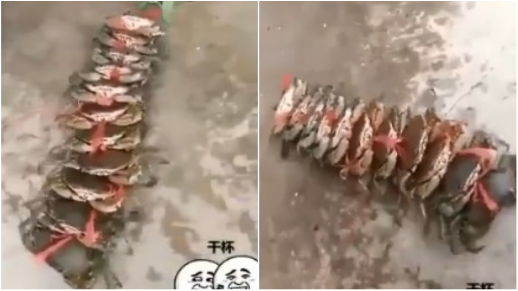 圖／翻攝自《微博》