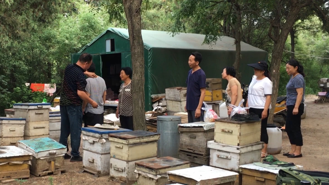 養蜂28年成神醫 村民排隊等「被螫」