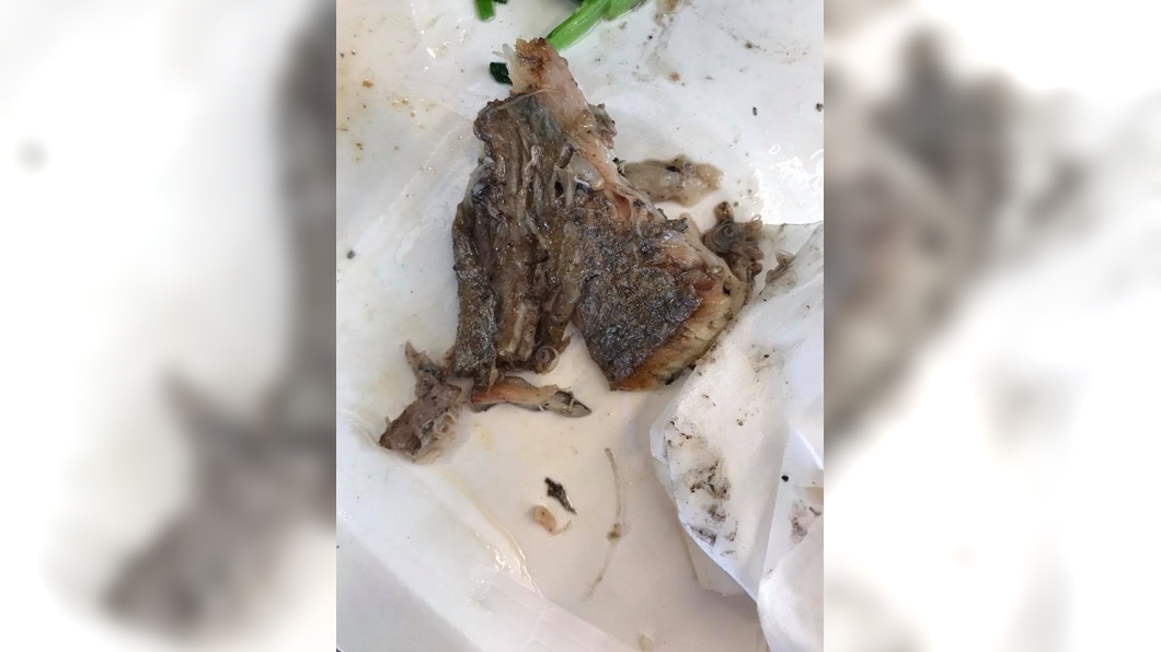 圖/翻攝自爆料公社