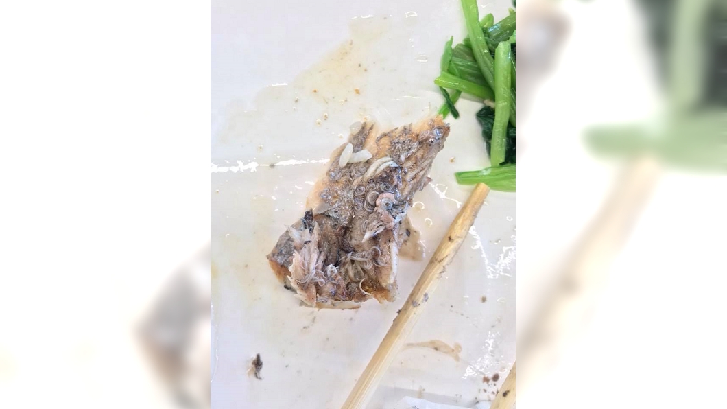自助餐吃魚驚見「滿滿都是蟲」 店家淡定:正常的