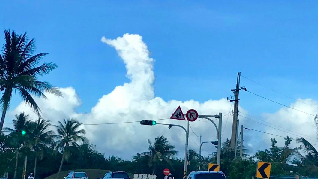 圖/蔡天鳴提供