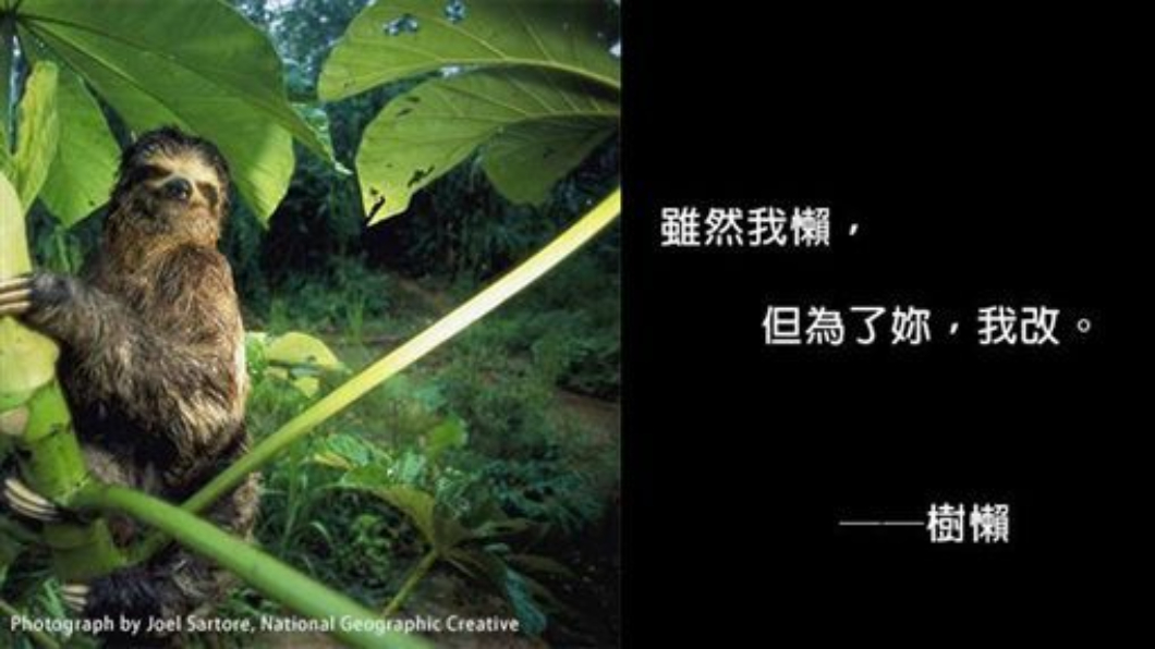 圖／翻攝自國家地理雜誌臉書