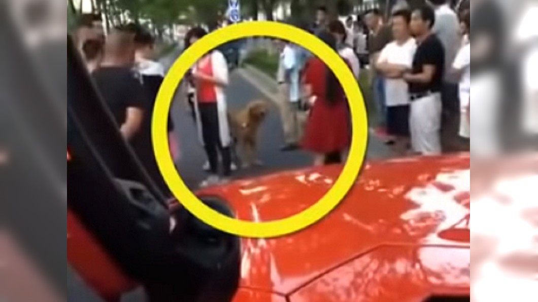 圖/翻攝自梨視頻