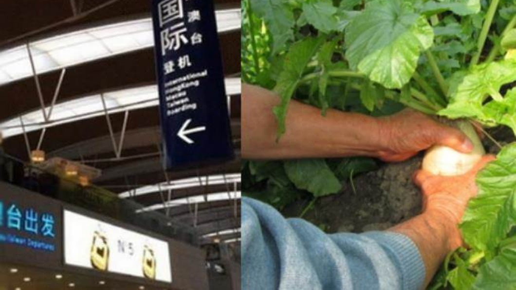 出國打工「月入72K還包吃包住」 男花大錢入境下場慘