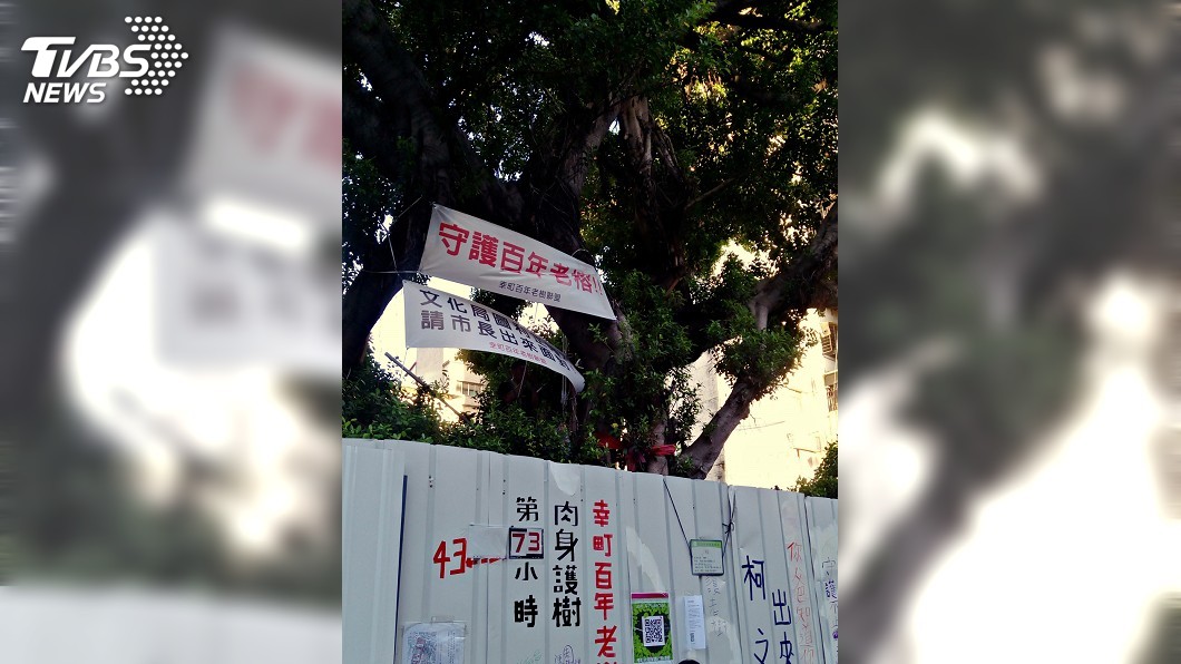 正隆都更案老樹移植難 北市府要求提動線規劃