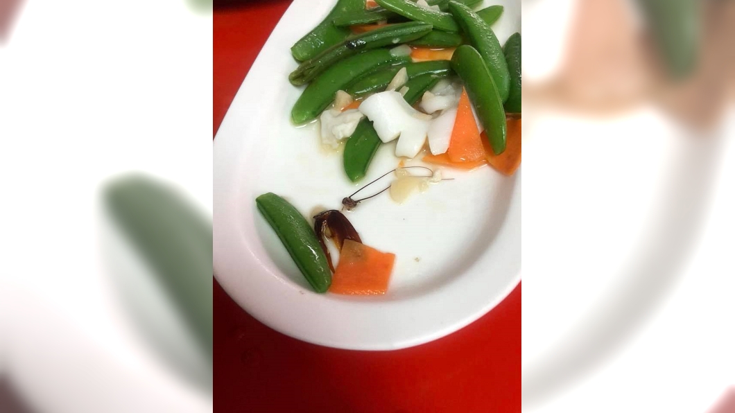 台南名店用餐驚見整隻蟑螂 店員竟訕笑:真好運