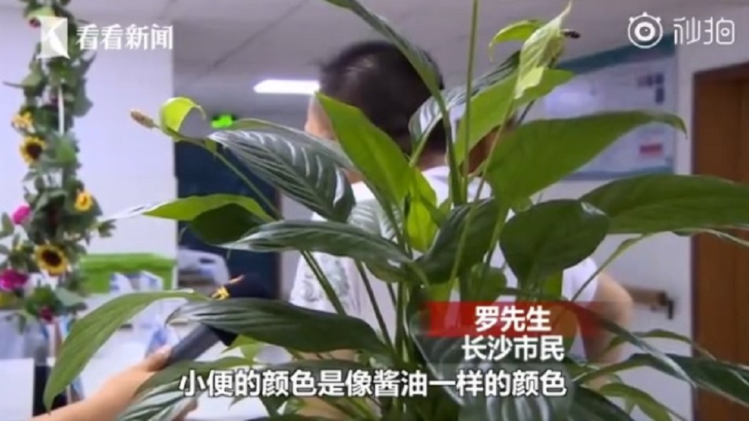 圖/翻攝自《看看新聞》