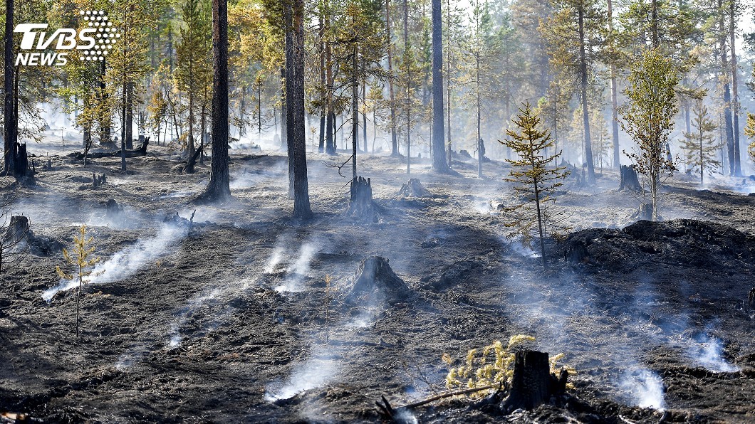 熱浪侵襲歐洲國家 野火肆虐造成傷亡