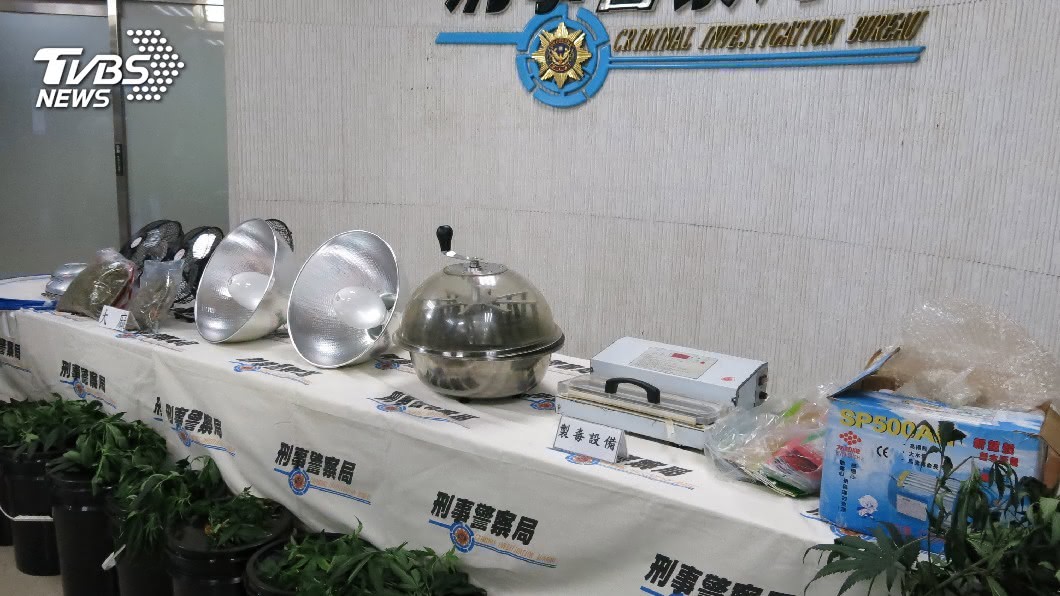 水電工自學種大麻 警埋伏攻堅逮人