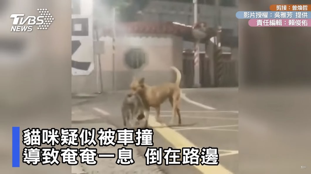 圖／吳雅芳 提供
