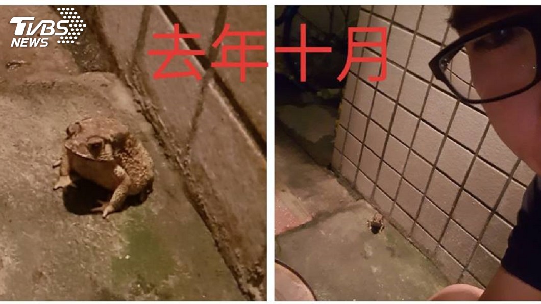圖/Qnew Lee 提供