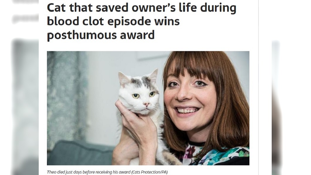 英國年度最佳貓咪 猛抓主人不給睡救了她一命