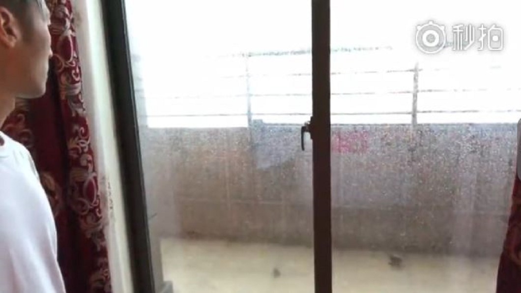 圖/翻攝自鋒味微博
