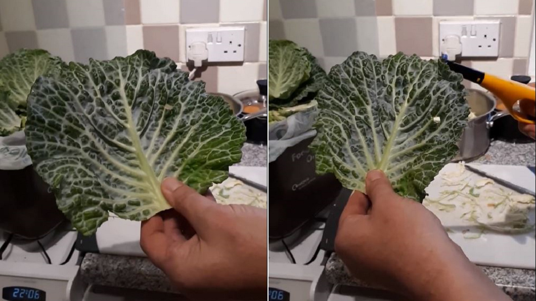 甘藍菜如石頭「硬梆梆」 火燒菜葉竟有塑膠味