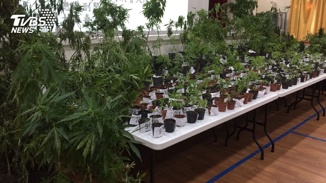 通緝犯國姓山區製毒　檢警逮捕並羈押禁見