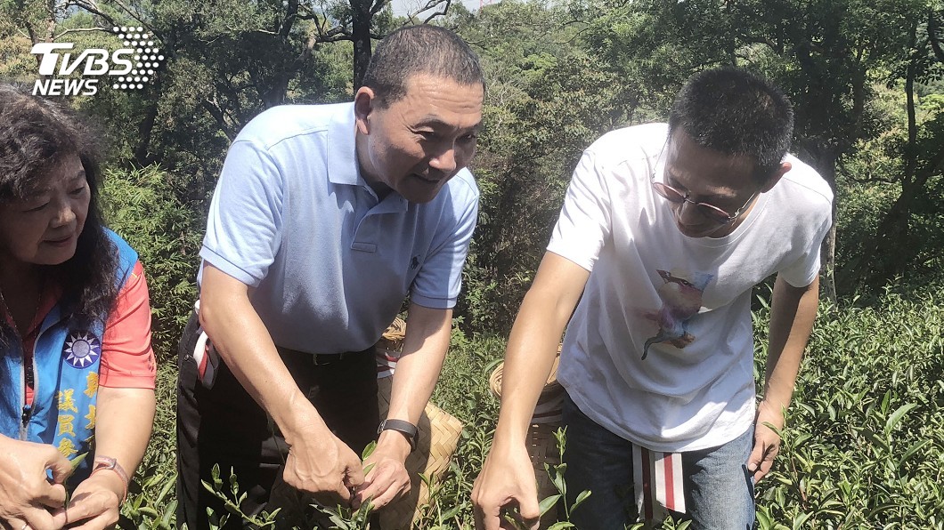 訪三峽茶園 侯友宜:助青農打開通路