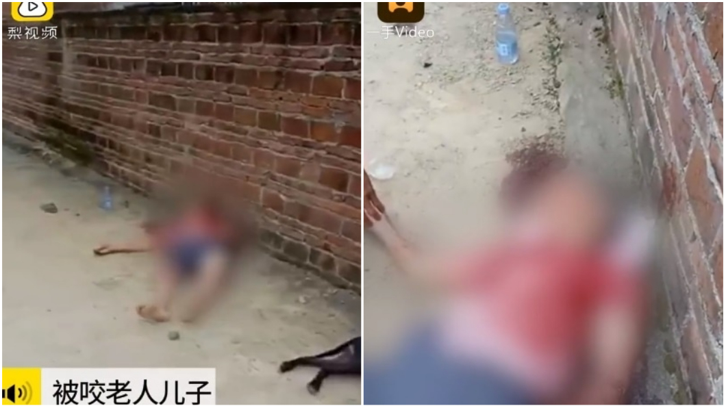 圖/翻攝自《梨視頻》