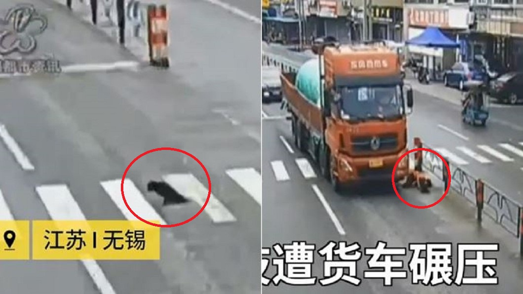 2腿緩慢爬!身障狗癱倒路中 愛心女急救援卻遭貨車狠輾