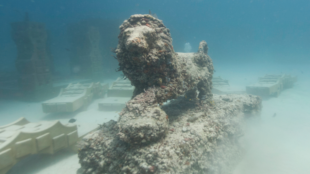 水下墓園「骨灰」珊瑚礁 提供生物新棲地