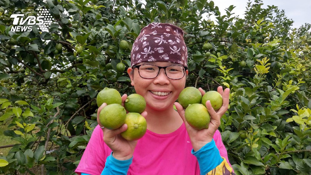 婚變返鄉種安全檸檬 單親媽黃靖惠樂當青農