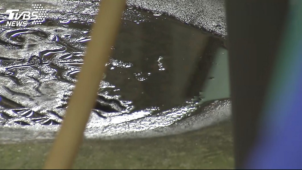 防治登革熱要奏效 須垂直清查所有積水