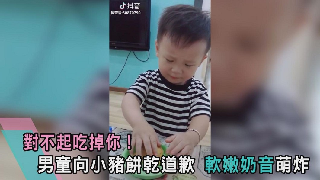 對不起吃掉你！男童向小豬餅乾道歉　軟嫩奶音萌炸