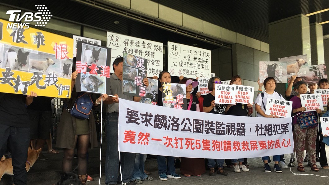 屏東流浪犬被打爆頭亡 動保團體赴縣府陳情
