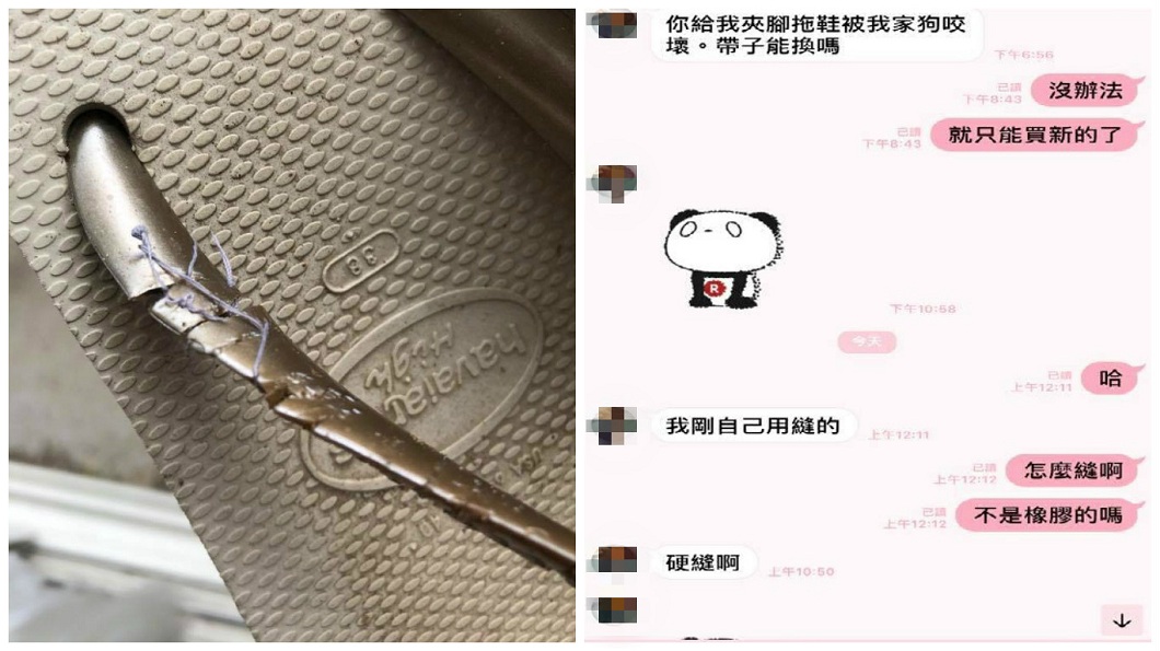 拖鞋壞用針線縫!她的台日混血閨密超節儉 男網友嗨翻