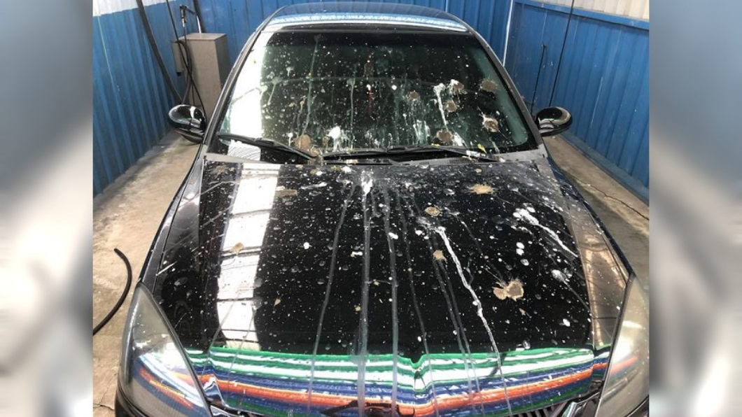 剛洗完車就遇小鳥「集體腹瀉」　車主超無奈：開趴嗎？