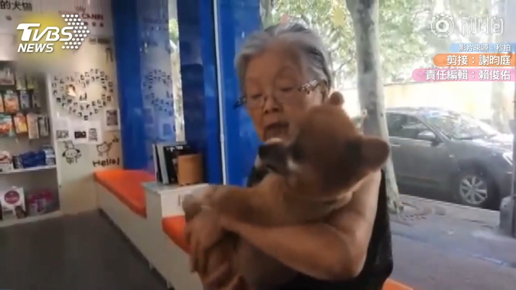 「兒子在天上」 84歲母抱兒愛犬拭淚:我特別寶貝的
