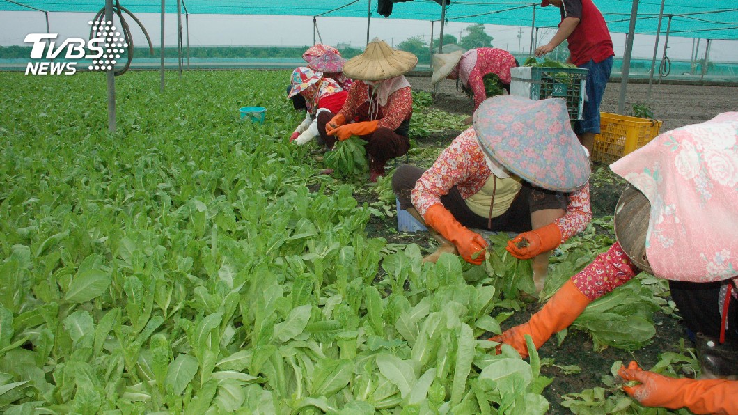農業保險擬提高補貼 拼10年後覆蓋率6成