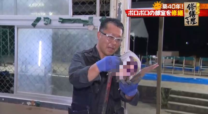圖/翻攝自中野推特