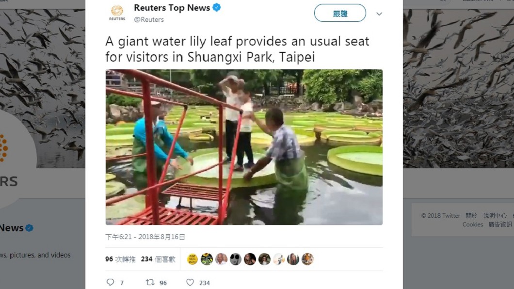 圖/翻攝自推特