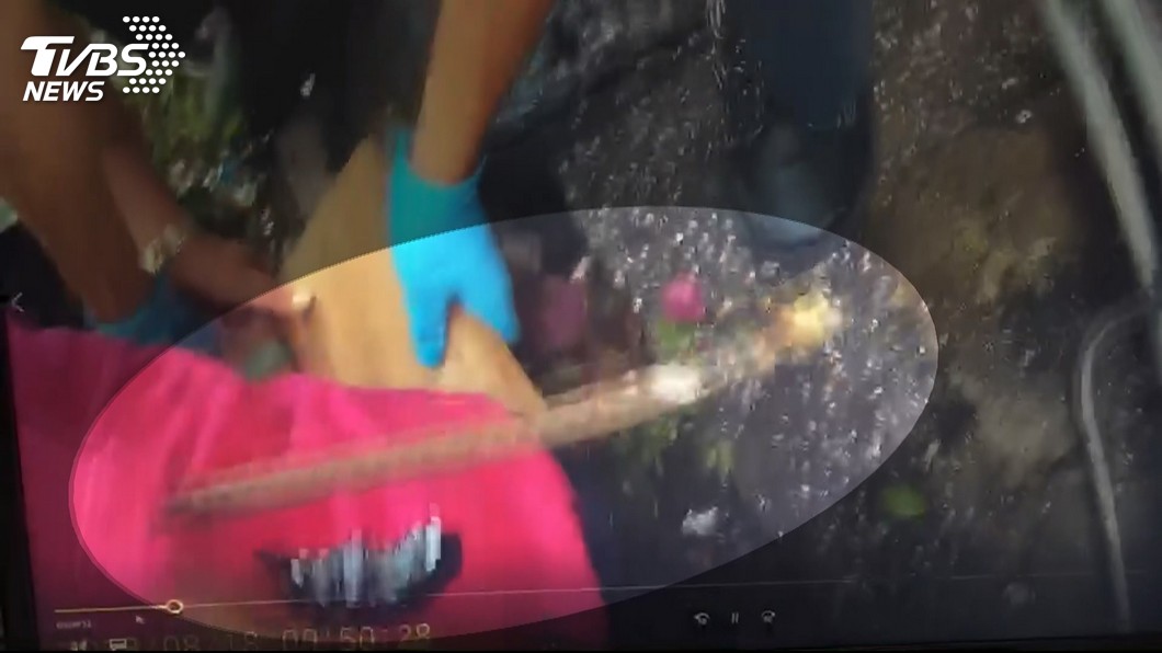 圖/TVBS