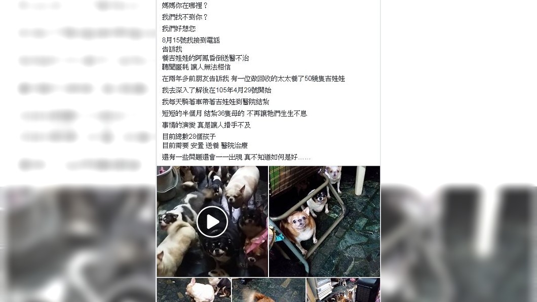 圖/翻攝自臉書