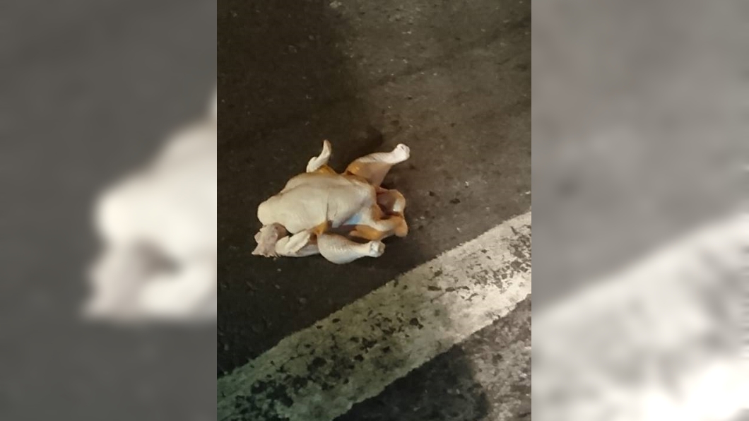 凌晨路上驚見「裸屍」 網笑炸:名副其實的撿屍
