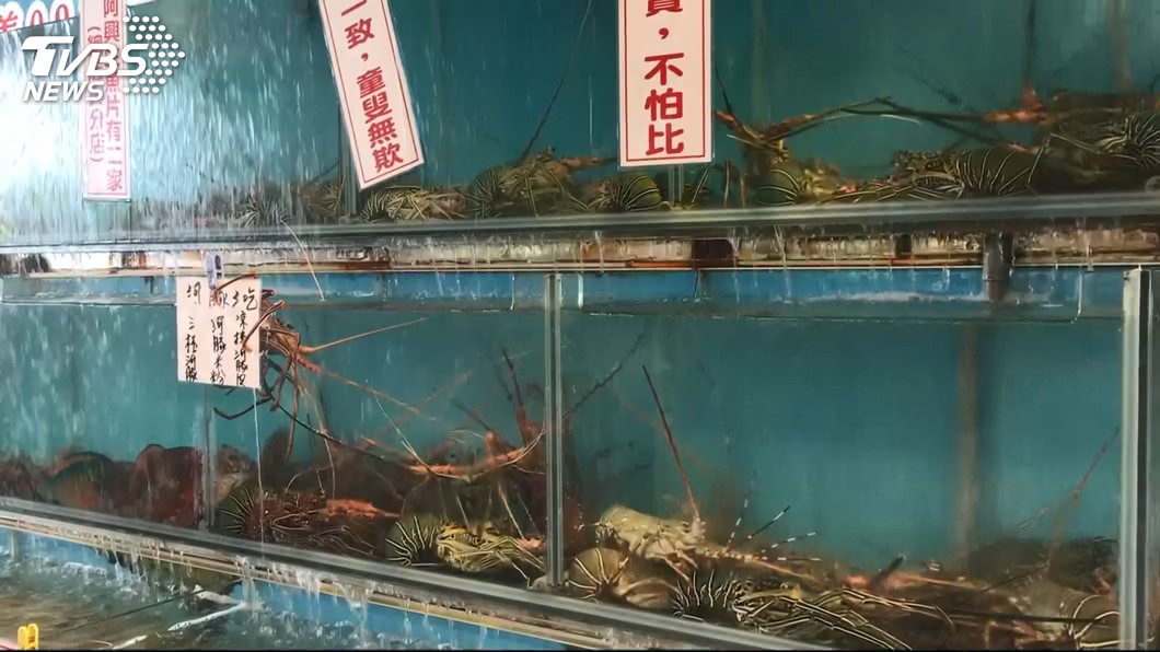 蛤~這是龍蝦? 消費者嘆「不應該抓幼齒的」