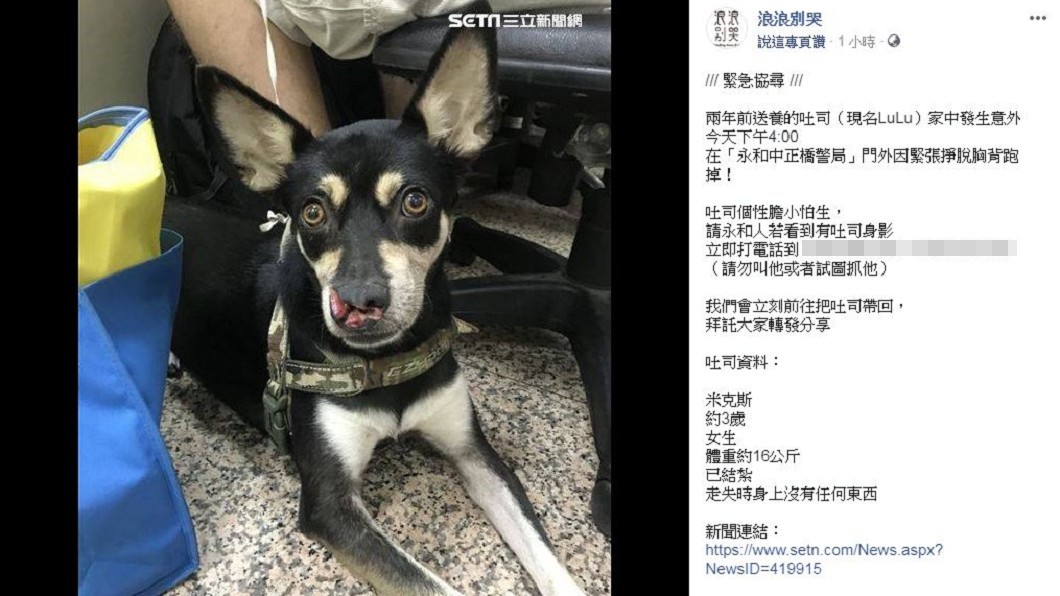 圖/翻攝自浪浪別哭臉書