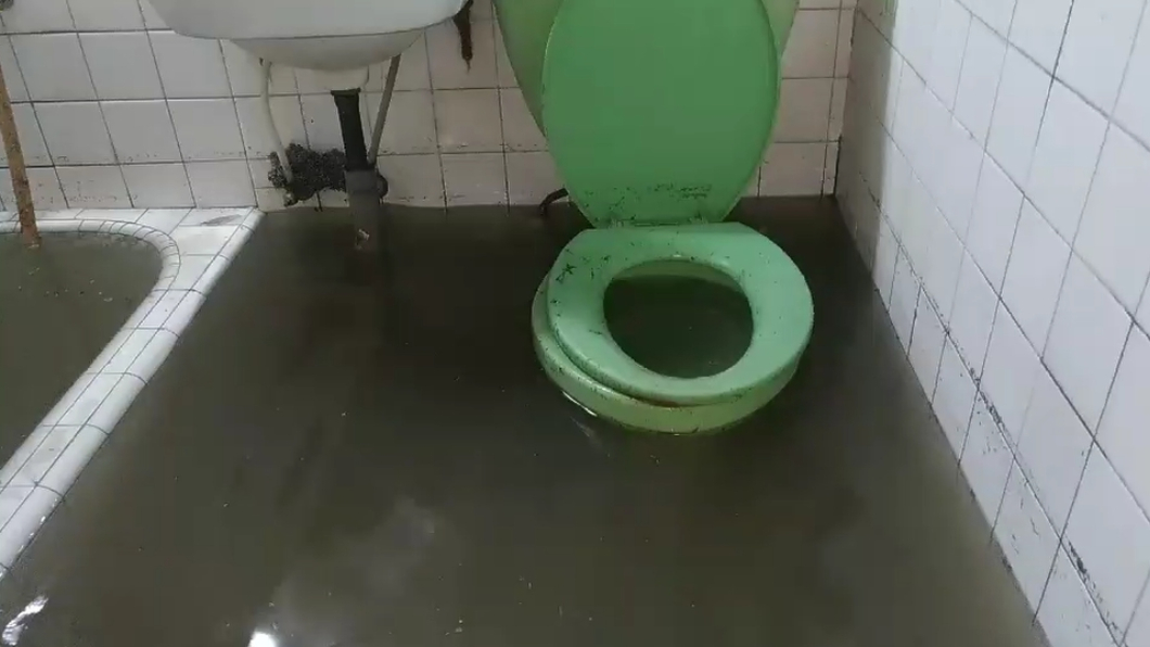 水淹到比浴缸還高。圖/網友提供