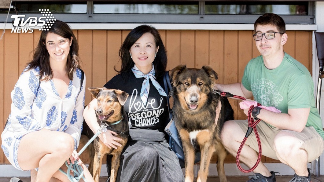 數百隻台灣流浪犬 在美被領養快樂重生