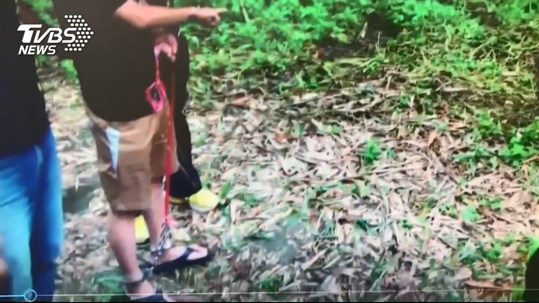含冤躺竹林2年!無名骷顱「鬼月露出」 揭恐怖情殺案