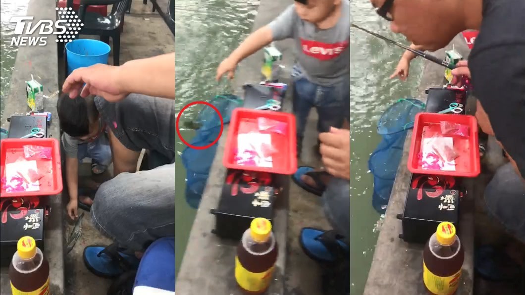 圖/高潮蝦 提供