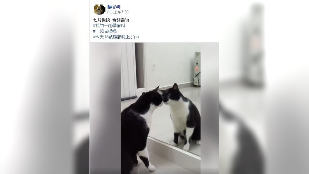 圖/翻攝自爆廢公社公開版臉書