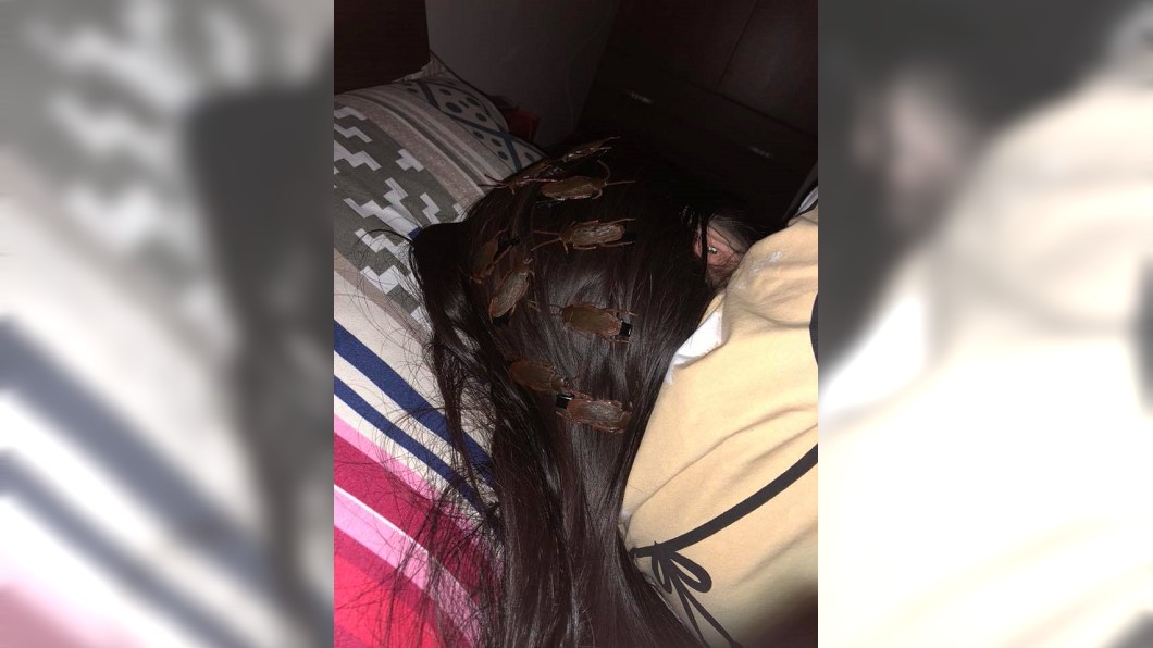 女遭惡整「蟑螂爬滿頭」 網友看完雞皮疙瘩掉滿地