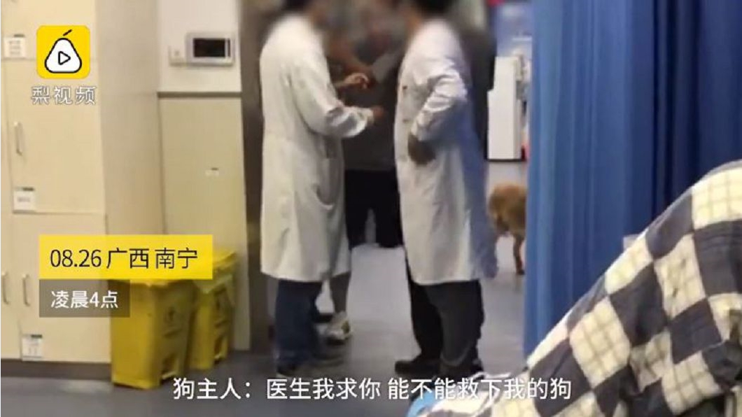 衝急診室威脅救狗 賓士男抓醫師:死了要你負責!