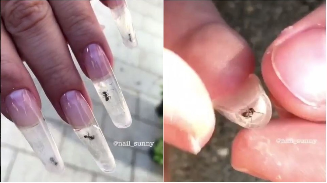 黑螞蟻關入透明指甲中 店家:有讓牠們呼吸